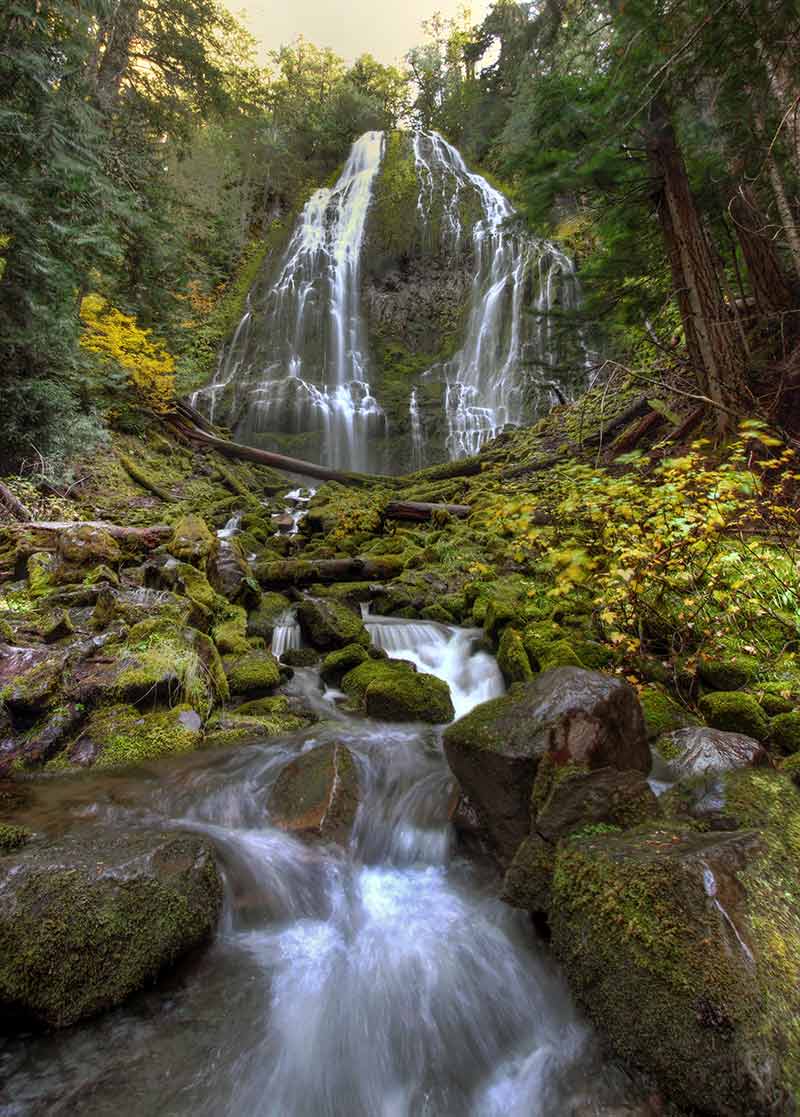 20 Things To Do In Eugene Oregon In 2023