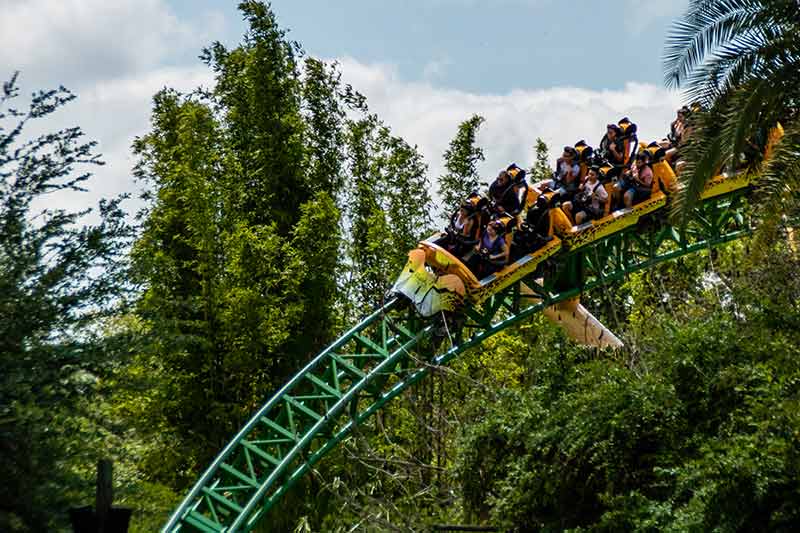 things to do near ruskin Busch Gardens roller coaster