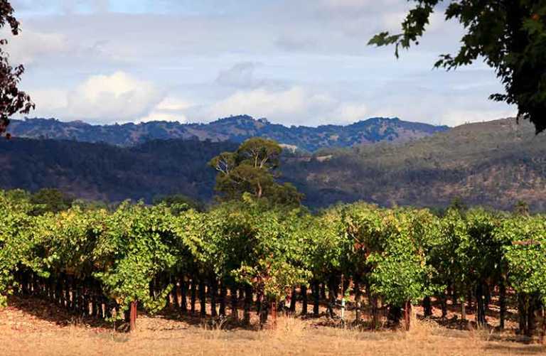 20 Things To Do In Santa Rosa (California) In 2026