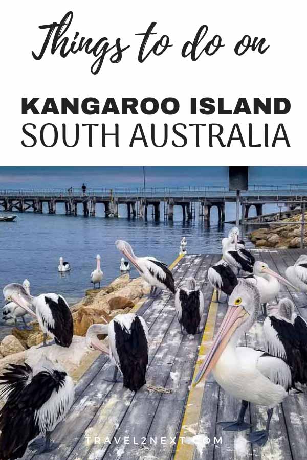 15 Things To Do On Kangaroo Island
