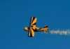 20 Things To Do In Oshkosh WI Beyond The Airshow things to do oshkosh