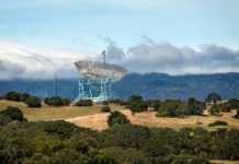 20 Things to Do in Palo Alto That Prove It’s More Than Just Tech things to do palo alto stanford dish