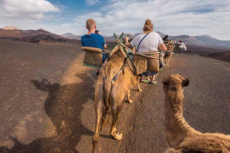 things to do with kids in lanzarote tourists riding camels through volcanic landscape in Timanfaya