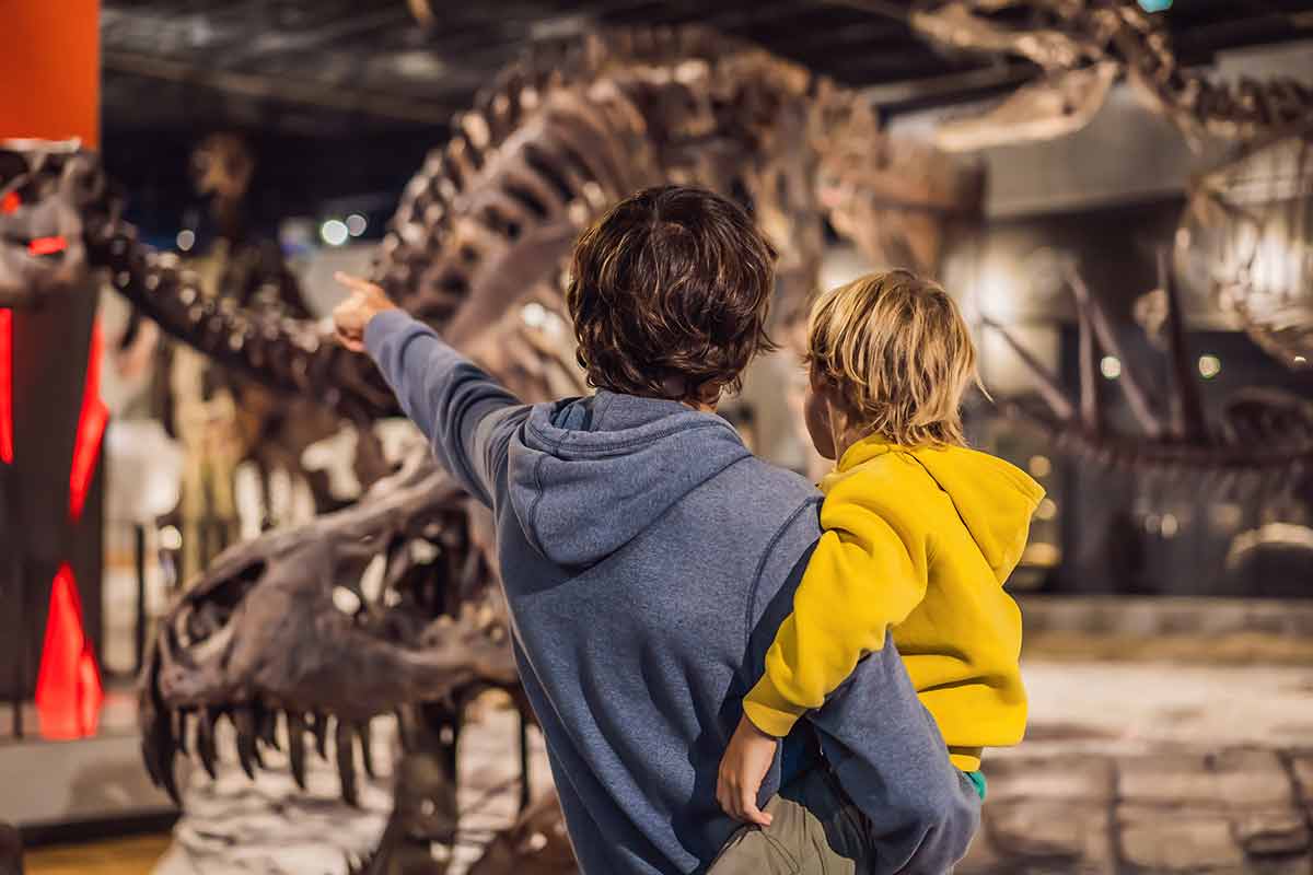 things to do with kids in new haven