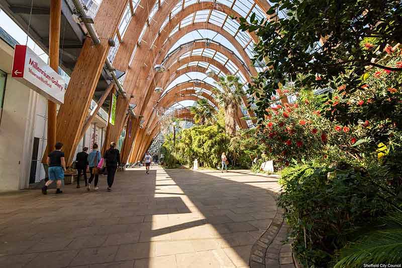 things to see and do in Sheffield winter garden