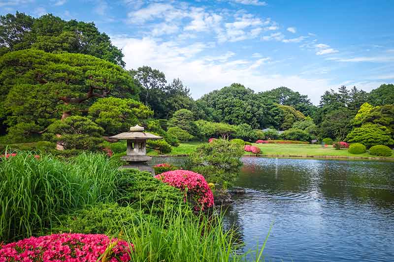 Shinjuku Gyoen Garden, Tokyo, Japan