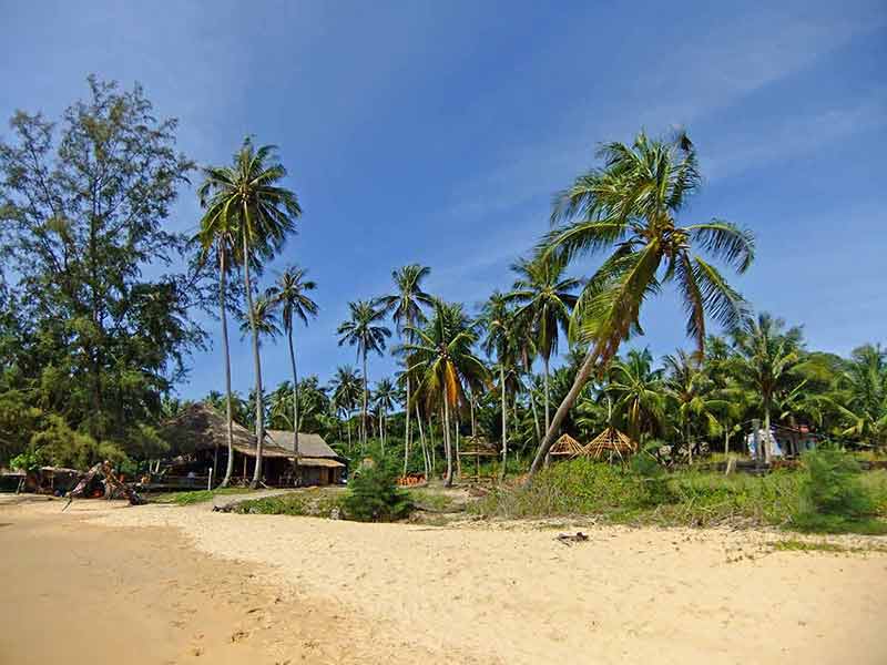 top beaches cambodia palm trees and huts