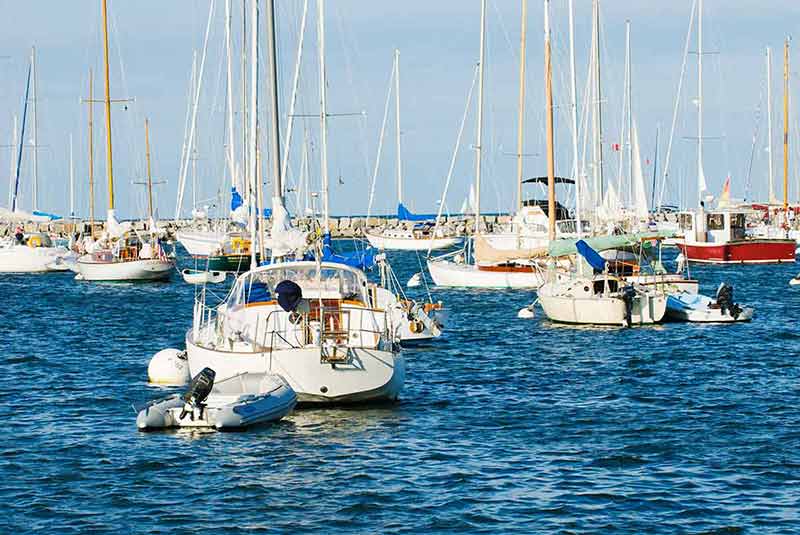top things to do in martha's vineyard