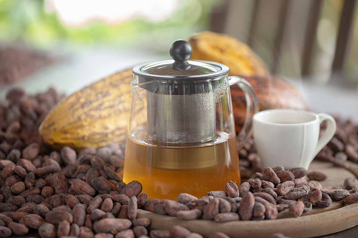 Hot Cocoa Tea On Cocoa Seeds And Cocoa Pod