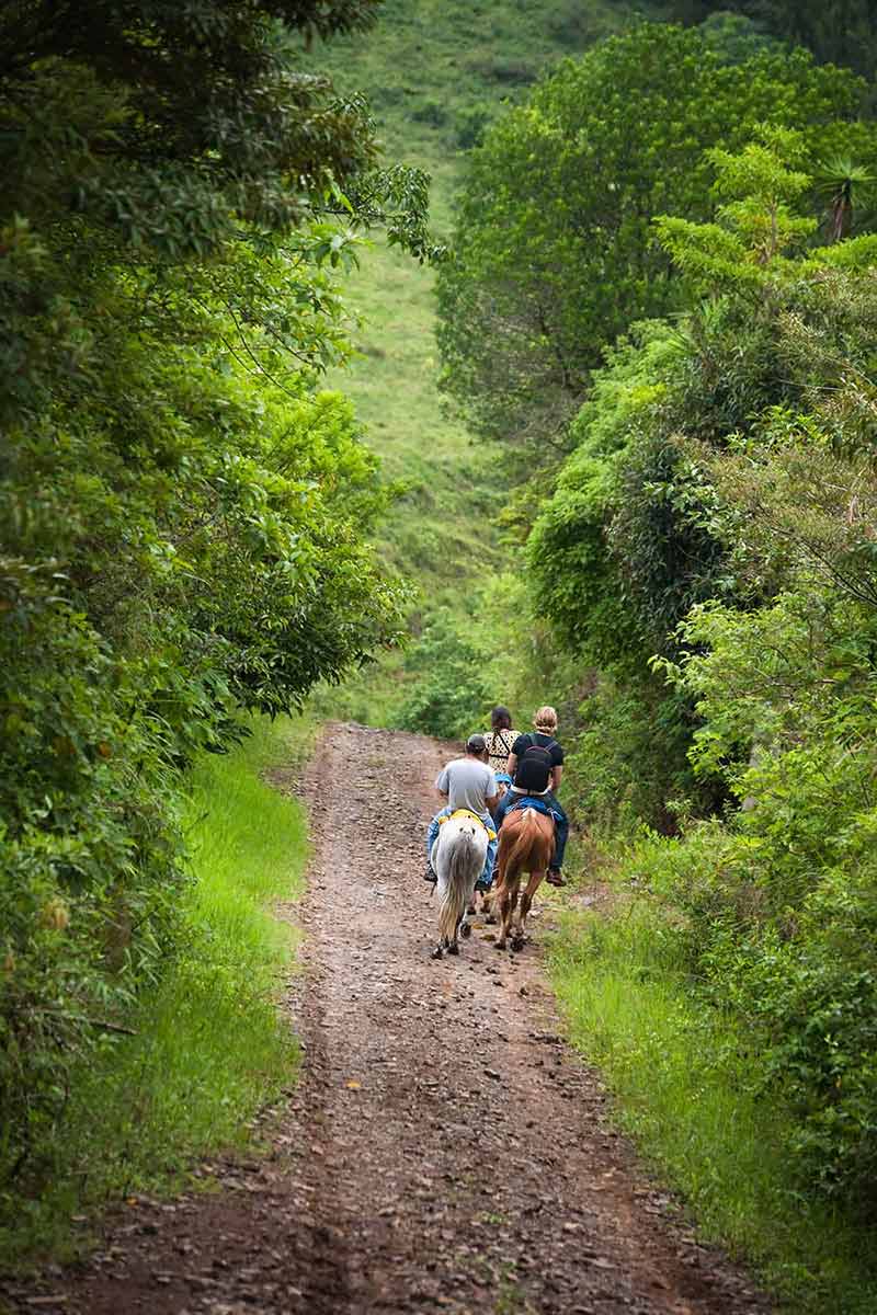 Horseback Riding Tour to the Oropendola Waterfall