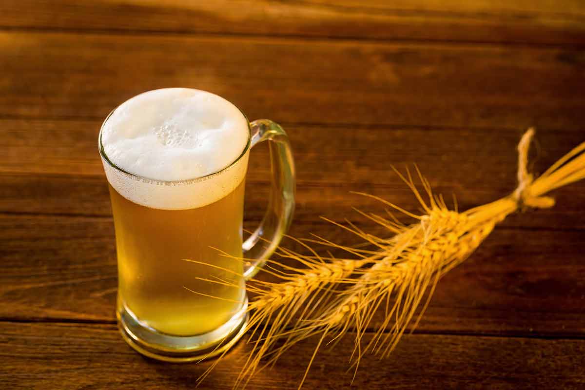 traditional indian alcoholic drinks Glass of beer and barley rice