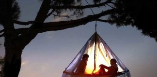 treehouses to stay in