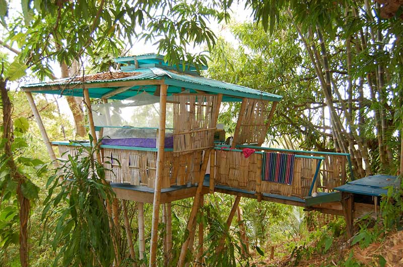 treehouses to stay in 