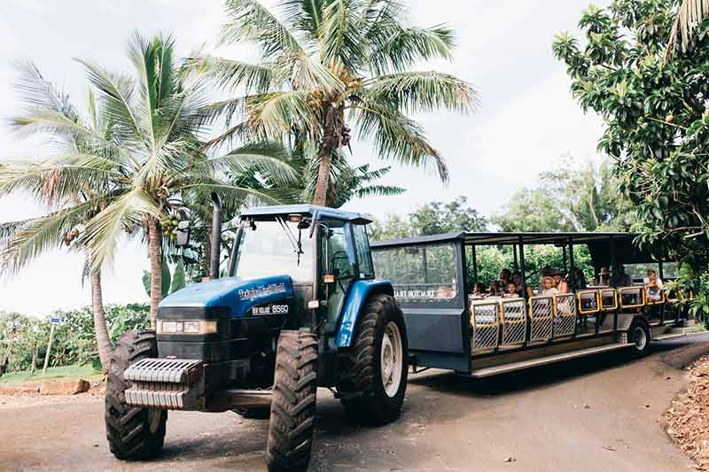tropical fruit world tractor train