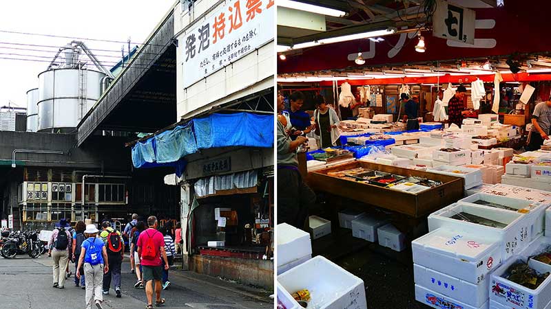 tsukiji fish market tokyo