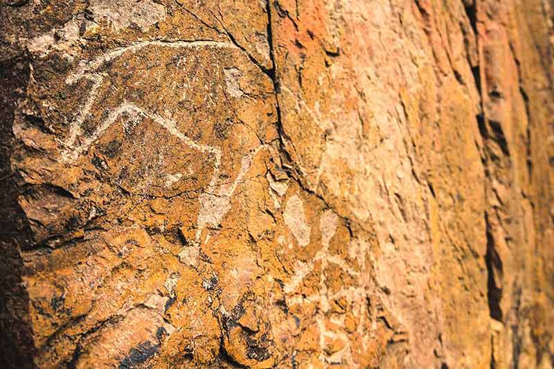 Archaeological Rock Carvings Of Animals