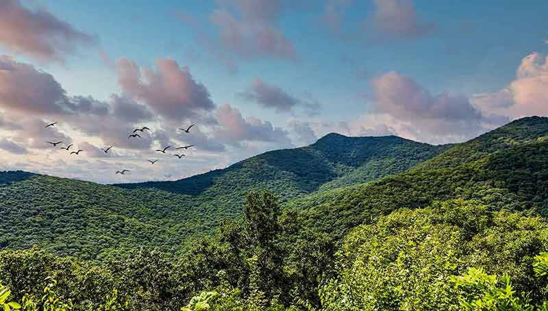 2.5 Hour Blue Ridge Parkway Guided Jeep Tour