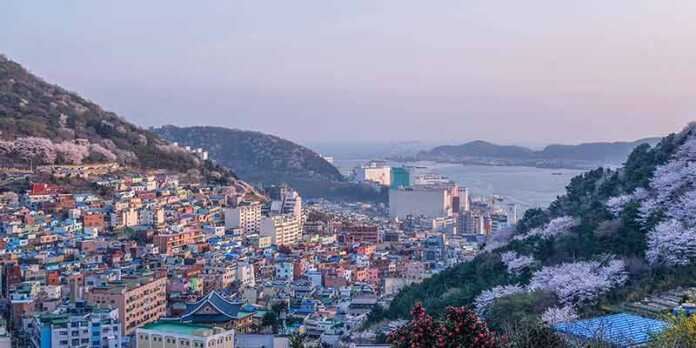 20 Things To Do In Busan In 2026