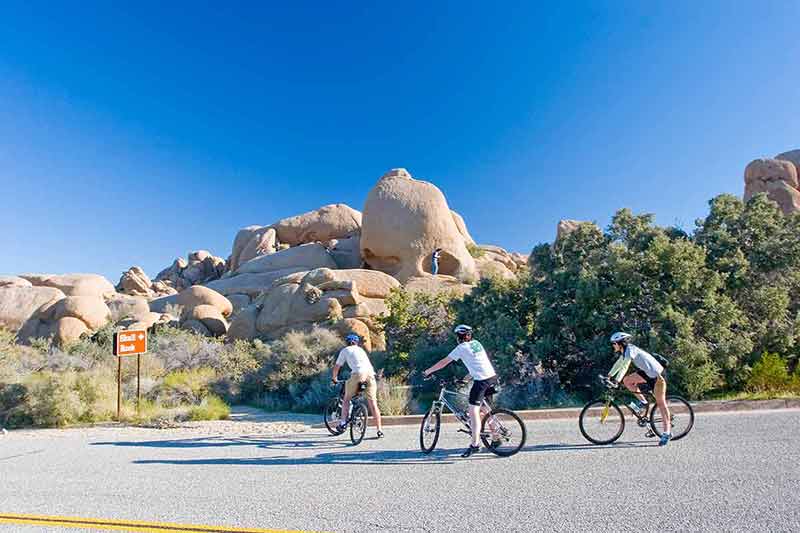 unique things to do in joshua tree three cyclists at Skull Rock