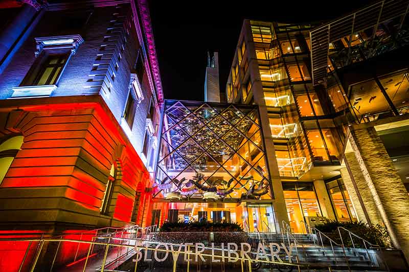 unusual things to do in norfolk library building at night
