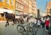 20 Things To Do In Wroclaw You’ll Wish You Knew Earlier horse and buggy driving through the old town and people sitting at a bus stop