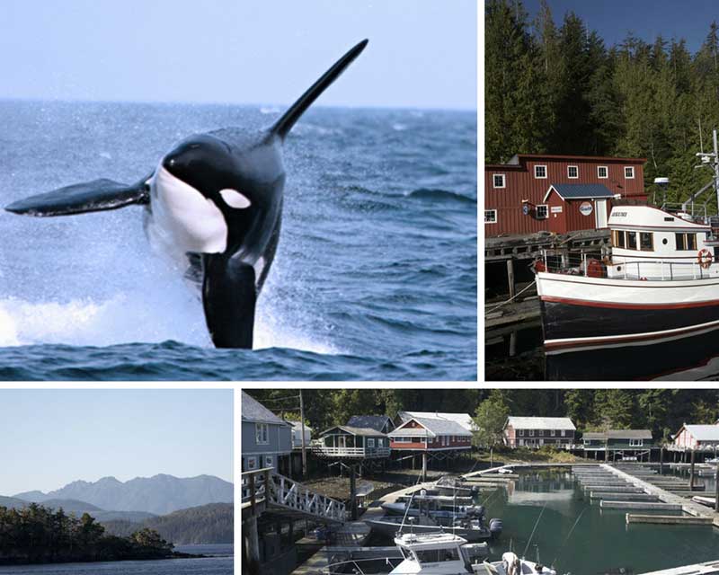 things to do in Vancouver Island
