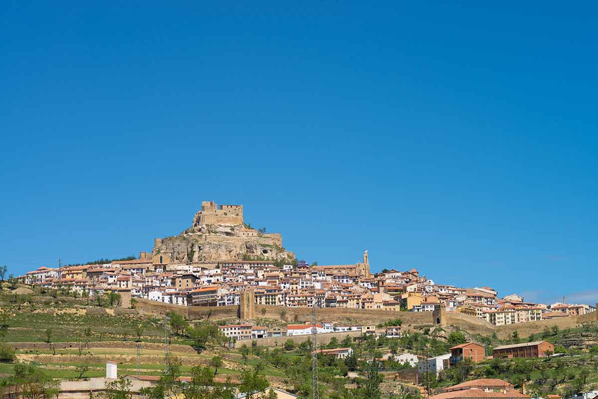 Morella