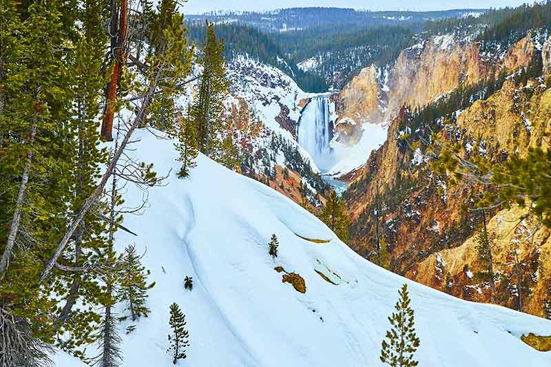 Winter At Yellowstone Upper Falls With Huge Snowy Slopes
