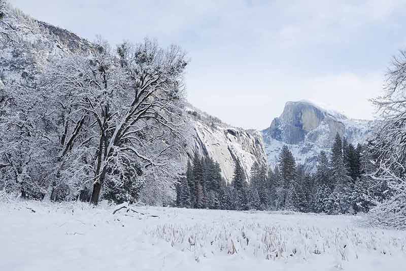Yosemite Winter