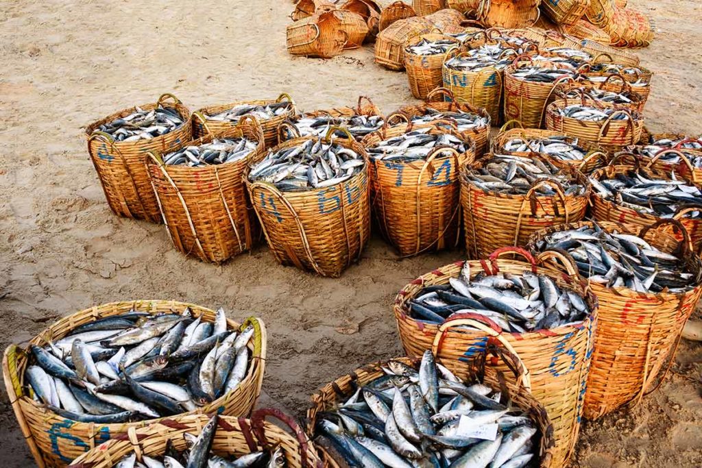 vung tau fish market