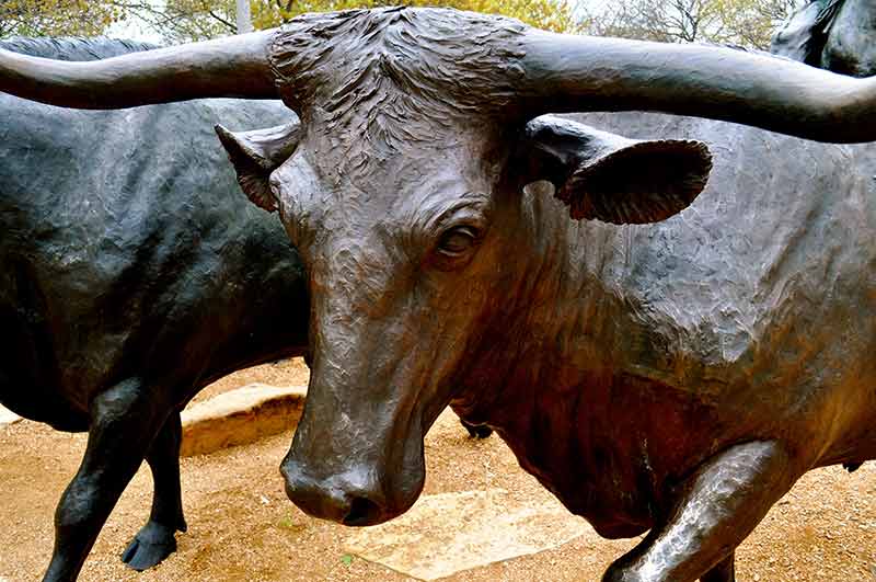 waco sculptures of longhorn cattle