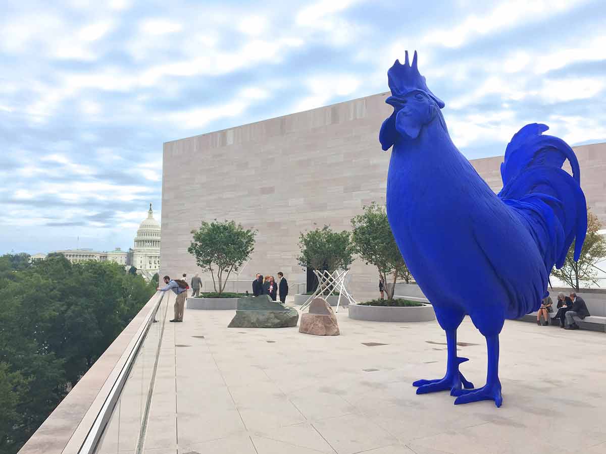 washington dc famous landmarks blue cockeral sculpture on the patio of the NGA