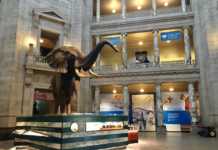 Washington DC Landmarks That Defined America washington dc landmrks and monuments The Smithsonian National Museum Of American History