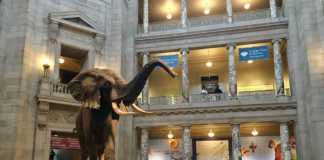 Washington DC Landmarks That Defined America washington dc landmrks and monuments The Smithsonian National Museum Of American History
