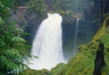 20 Oregon Waterfalls That Look Too Perfect To Be Real waterfalls in portland oregon