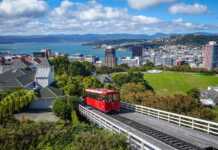 red cable car ascending a hill with city and harbour in the background