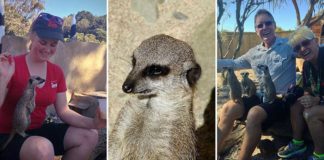 wellington zoo