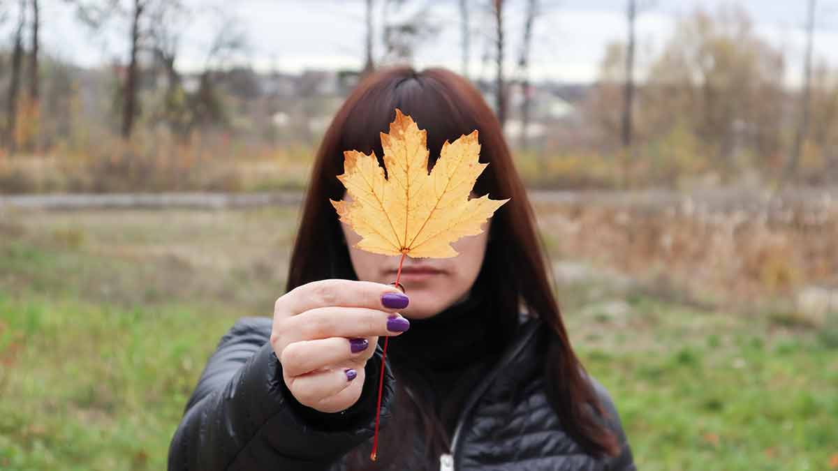 Girl Holds A Yellow Maple Leaf In Front Of Her