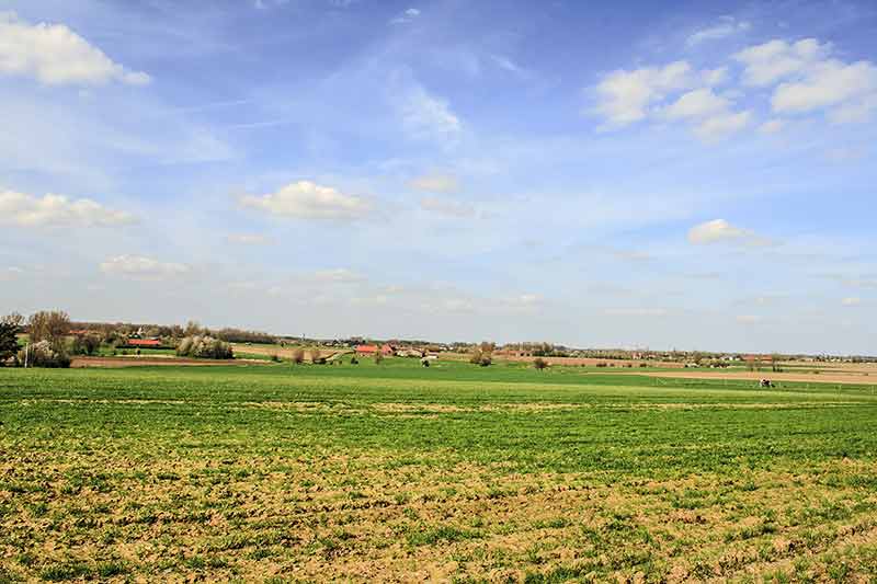 Landscape In Flanders Fields, Belgium