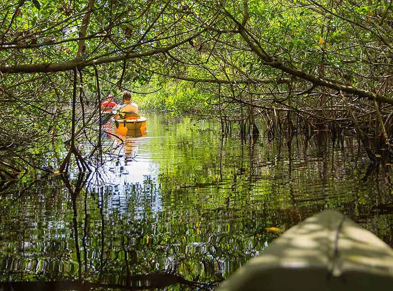 Kayaking In Everglades National Park