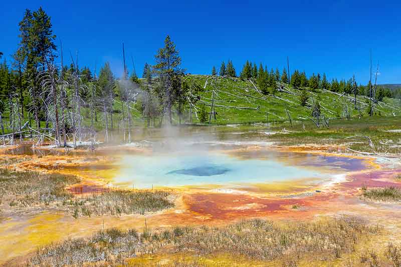 Hot Spring In Yellow Stone National Park In USA