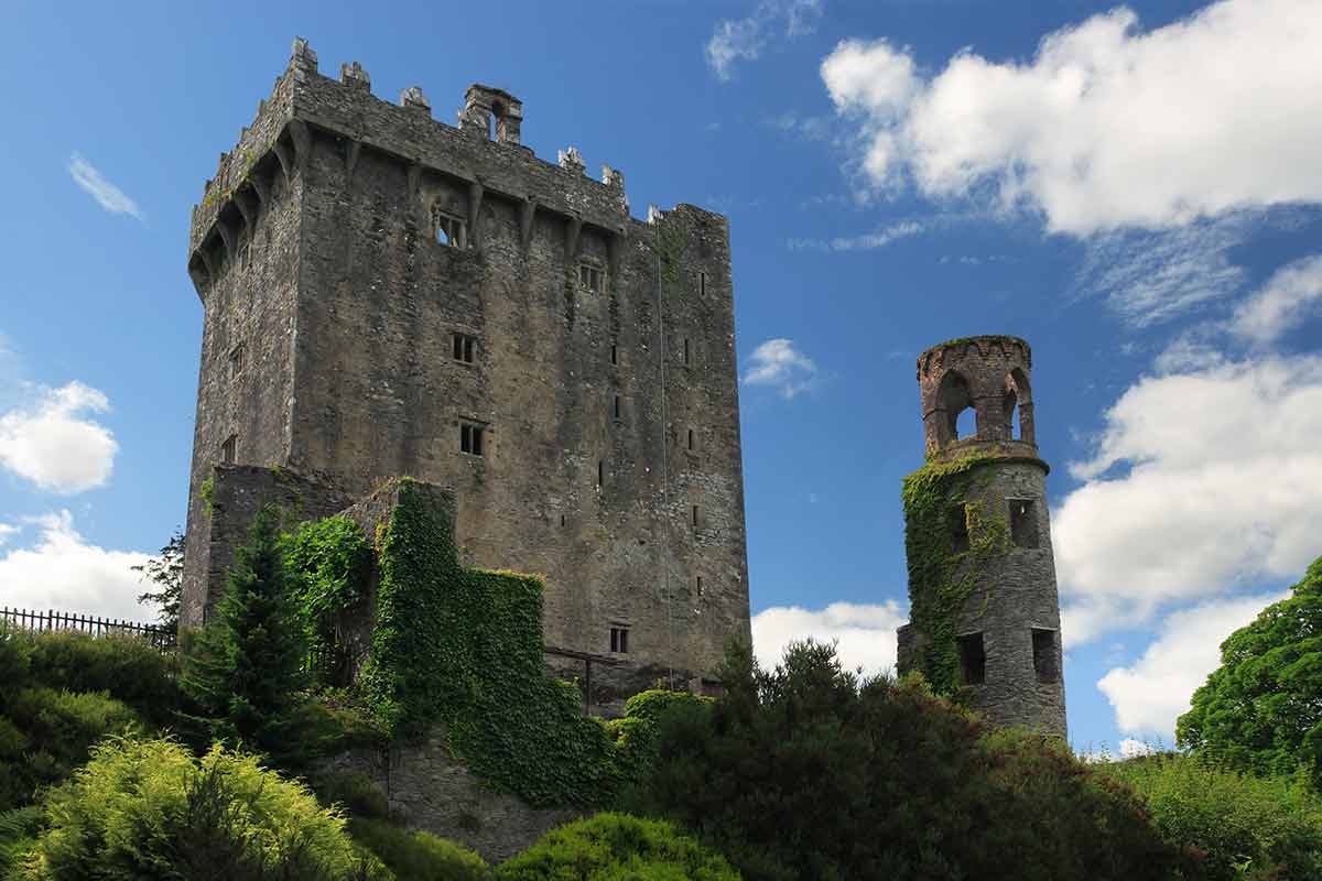 Blarney Castle Of Ireland