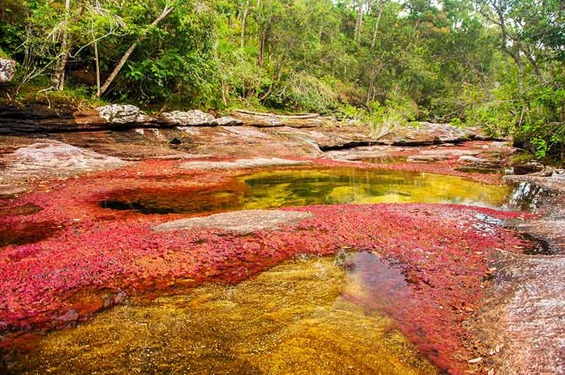 A Red And Yellow River In Colombia