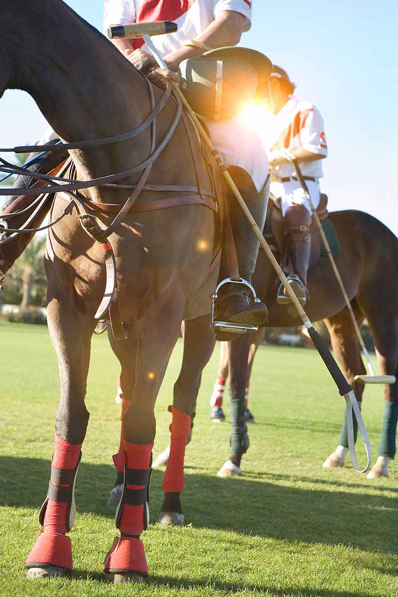 Portrait Shot Of Polo Players on their horses