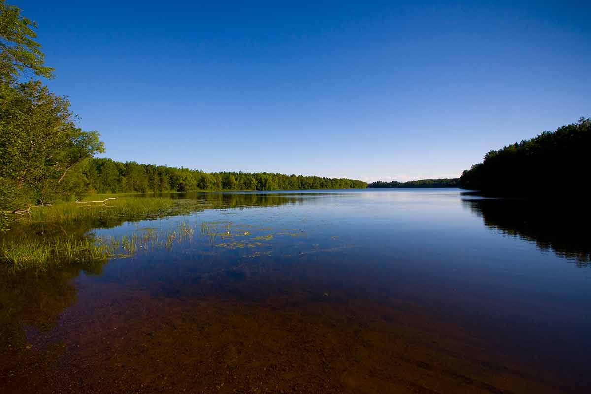 Minnesota Lake In Blue