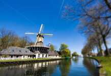 Forget Tulips and Windmills! Here’s What Else the Netherlands Is Famous For Traditional Old Windmills In Netherlands