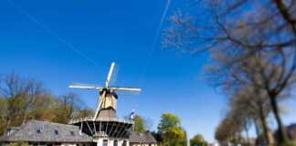 Forget Tulips and Windmills! Here’s What Else the Netherlands Is Famous For Traditional Old Windmills In Netherlands