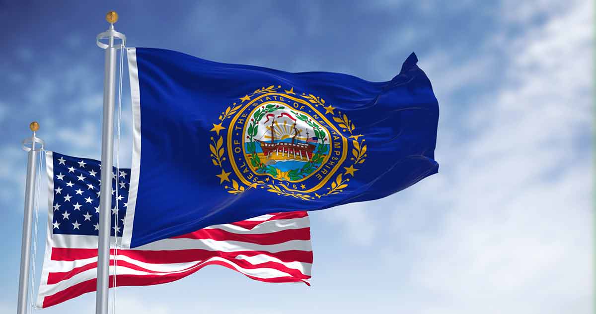 The New Hampshire State Flag Waving