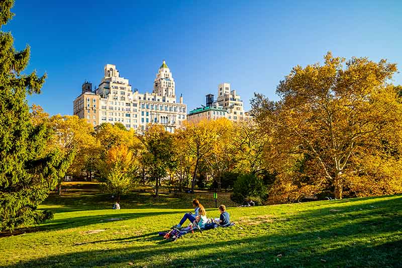 Central Park In Autumn In Midtown Manhattan, New York City