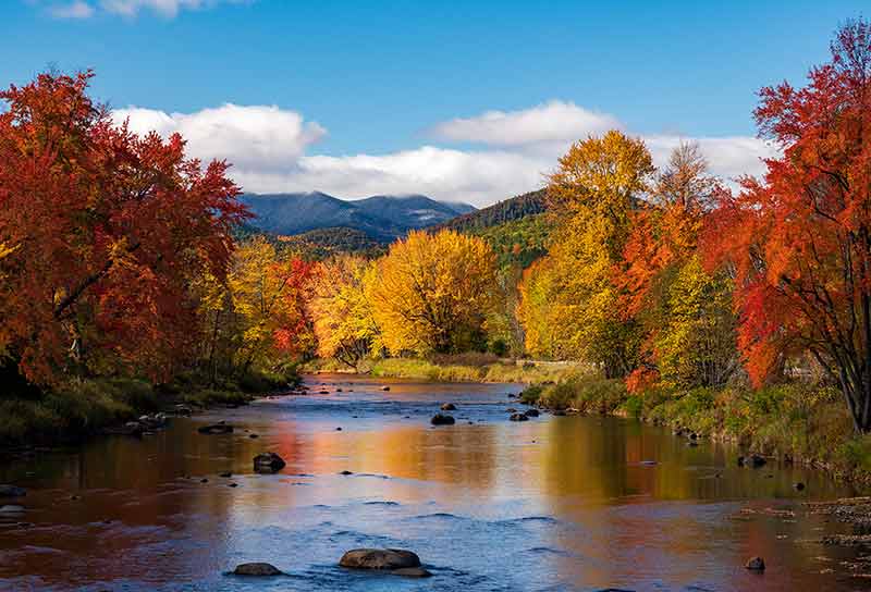 Saranac River Flows Through Multi-Colored Fall Landscape